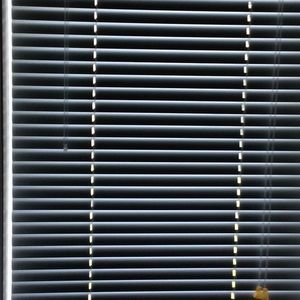 Meet your Posher, Margaret